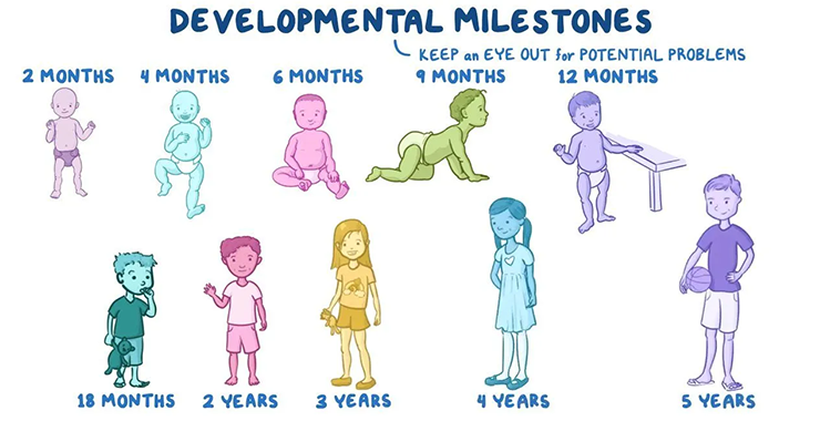 developmental milestones