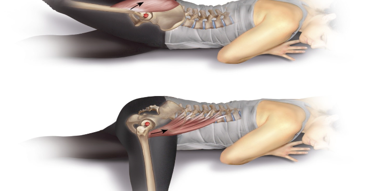 psoas muscle